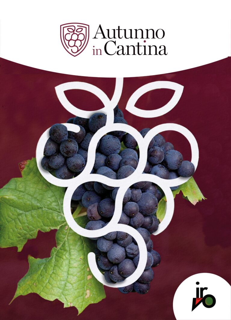 LA SICILIA DEL VINO CAMBIA STAGIONE: TORNA “AUTUNNO IN CANTINA”