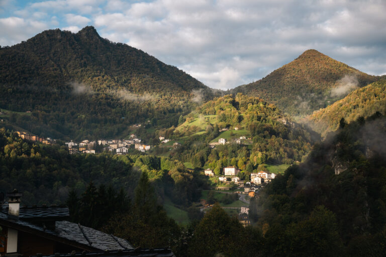In Valle Averara il futuro mette radici nel bosco